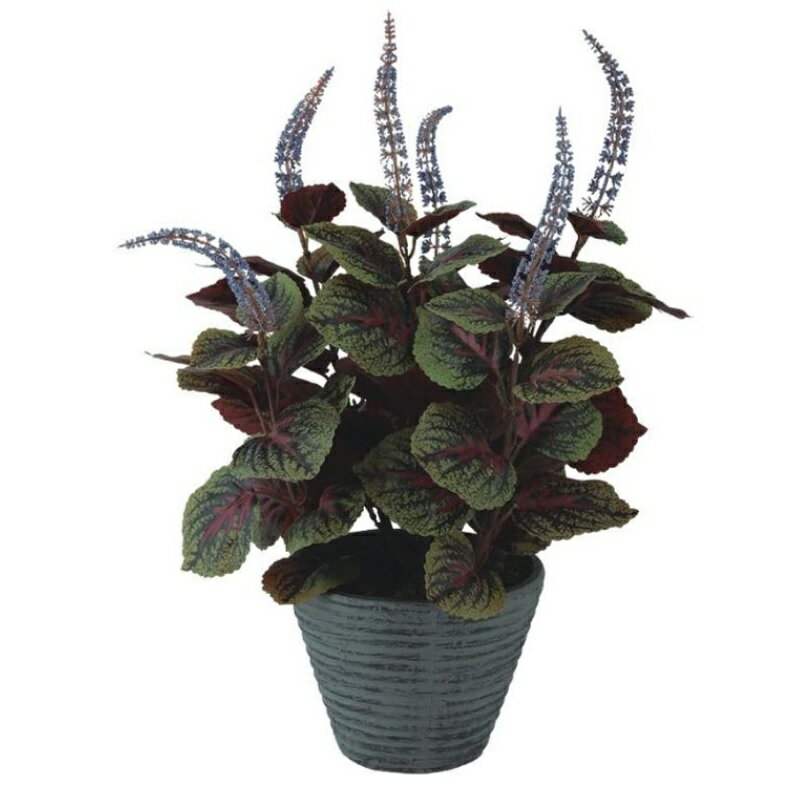 樂天商城 - 人工観葉植物 コリウス ポット付き 高さ45cm （P109-99456) （代引き不可） インテリアグリーン フェイクグリーン