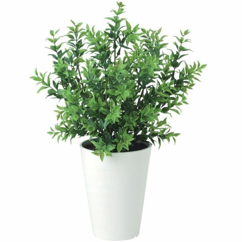 人工観葉植物 ボックスウッド ポット付き 高さ35cm （P108-99465) （代引き不可） インテリアグリーン ..