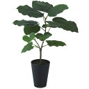 人工観葉植物 HQ ウンベラータ ルーツポット ポット付き 高さ50cm (P110-99475) (代引き不可) インテリアグリーン フェイクグリーン(4)