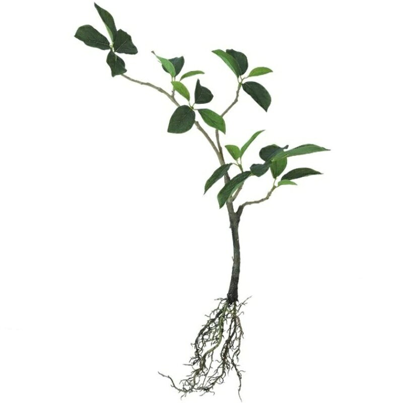 乐天商城 - 人工観葉植物 ガジュマル ルーツ ブッシュ 長さ50cm （P132-99483) （代引き不可） インテリアグリーン フェイクグリーン