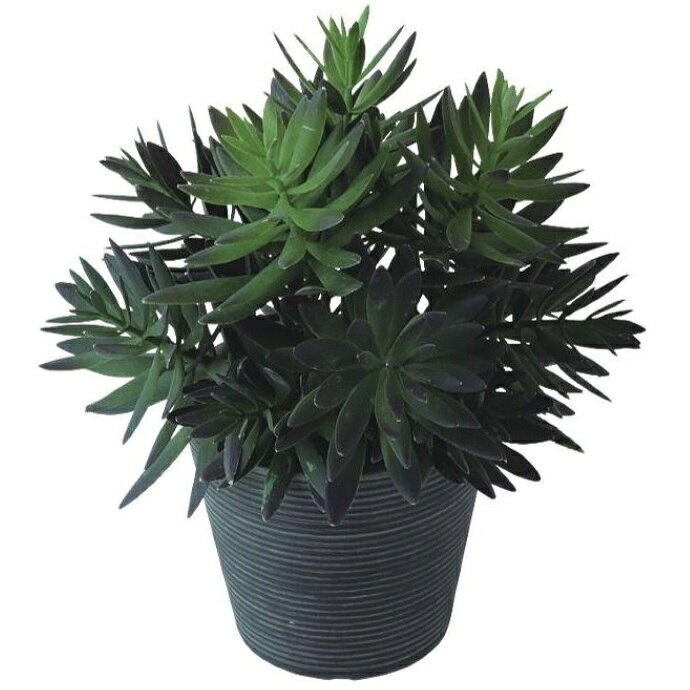 人工観葉植物 サッカレント ポット ポット付き 高さ28cm （P114-99513) （代引き不可） インテリアグリーン フェイクグリーン