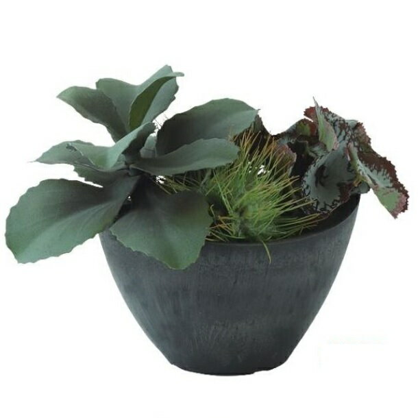 乐天商城 - 人工観葉植物 ジェイドプラント MIX ポット付き 高さ20cm （P114-99514) （代引き不可） インテリアグリーン フェイクグリーン