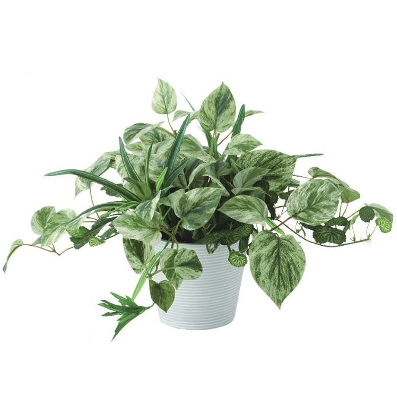 人工観葉植物 マーブルポトス MIX ポット付き 高さ25cm （P103-99518) （代引き不可） インテリアグリーン フェイクグリーン