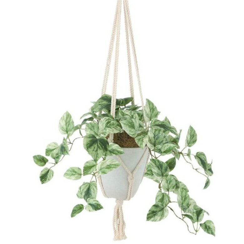 人工観葉植物 マーブルポトス ハンキング ポット付き 高さ25×長さ45（総全長約85）cm （P119-99533) （代引き不可） インテリアグリーン フェイクグリーン