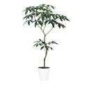 人工観葉植物 パキラ FST 150 ポット付き 高さ150cm (P52-99643) (代引き不可) インテリアグリーン フェイクグリーン
