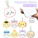 ちいかわ コネクタチャーム TypeC ハチワレ うさぎ モモンガ キャラクター グッズ USB 穴 栓 フタ ホコリ防止 スマホ アクセサリー チャーム ストラップ CK-65