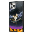 iPhone12 iPhone12Pro ケース 猫のダヤン ねこ ダヤン 猫 砂漠の流れ星 わちふぃーるど スマホ カバー キャラクター グッズ 耐衝撃 ハイブリッド ストラップホール スクエア KAKU