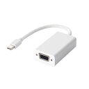 エレコム miniDisplayPort変換アダプタ forAPPLE VGA ホワイト ELECOM(2)