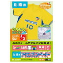 エレコム アイロンプリントペーパー ナイロン化繊用 A4 2枚 ELECOM