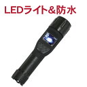 LEDハンディライト/懐中電灯型ビデオカメラ マグライト「DMCA15」LED誘導等 超小型 強力フラッシュライト 防水仕様 防災防犯 アウトドア キャンプ 登山 [DreamMaker]