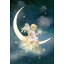 クロスステッチ キットMoon Angel Request A Size25ct - Heaven And Earth Designs(HAED) 上級者 全面刺し