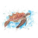 NXXeb` Lbg[HAED] Colour Splash Sea Turtle 25ct-Heaven And Earth Designs㋉ Sʎh