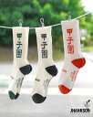 【アウトレット!20%OFF】ジャンクソン JHANKSON 甲子園SOCKS メンズ レディース クルーソックス 靴下 野球 ベースボール プリント ロゴ リブ メンズ レディース ホワイト グリーン ブラウン レッド JHK-S003 甲子園 野球観戦 応援 バイカラー 肉厚 クッション性 0330 ギフト