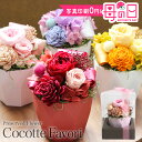 母の日 まだ間に合う 花 2025 プリザーブドフラワー Cocotte Favori 平日15時迄当日発送 写真印刷無料 アレンジメント バラ ギフト 誕生日...
