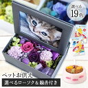 平日15時迄当日発送 ペット 仏花 写真立て お供え 位牌 プリザーブドフラワー 花 写真付き 遺影 仏花 ペット用 仏具 バラ 犬 お悔やみ 初盆 お盆 贈り...