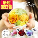 母の日 2025 プレゼント 花 ギフト 楽天 平日15時迄当日発送 プリザーブドフラワーPetite(プティット) 手のひらサイズ アレンジプリザ プチアレン...