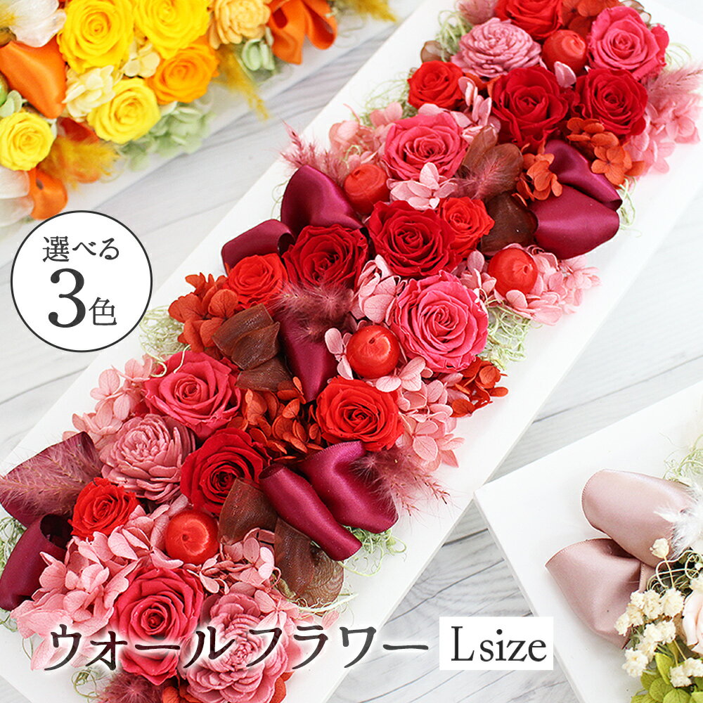 楽天市場】プリザーブドフラワー 壁掛け(種類(植物)ガーベラ 楽天市場】プリザーブドフラワー 壁掛け(種類(植物)ガーベラ