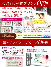 写真印刷0円!超早割クーポン利用で送料無料3,999円!敬老の日ギフトに♪枯れない生花感動写真立て楽天ランキング1位獲得!プリザーブドフラワーKARENフォトフレームプリザーブドフラワー誕生日プレゼント結婚祝プリザードフラワー送別ギフト母の日お中元