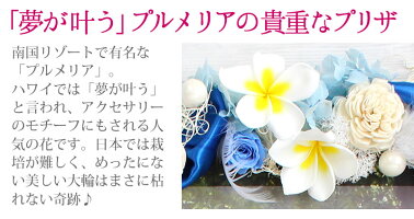 A3写真入ウエルカムボード