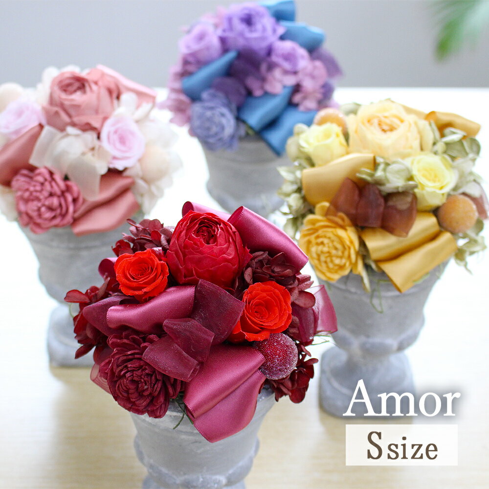 �ں�û������ã��15�����ۥץꥶ���֥ɥե� ��Amor-S�ץ����S �Х�󥿥��� �ۥ磻�ȥǡ� ´�� ���� �࿦ ���� �ץ쥼��� ���ե� �� ������ ��...