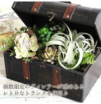 楽天スーパセールで10%OFF!ボタニカルアレンジ多肉植物エアープランツ造花グリーン手入れ不要で一生持つ♪のアーティフィシャルフラワー癒しのインテリアエケベリアグリーンネックレスティランジア