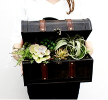 楽天スーパセールで10%OFF!ボタニカルアレンジ多肉植物エアープランツ造花グリーン手入れ不要で一生持つ♪のアーティフィシャルフラワー癒しのインテリアエケベリアグリーンネックレスティランジア