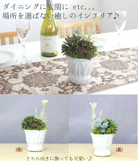 楽天スーパセールで10%OFF!ボタニカルアレンジ多肉植物エアープランツ造花グリーン手入れ不要で一生持つ♪のアーティフィシャルフラワー癒しのインテリアエケベリアグリーンネックレスティランジア
