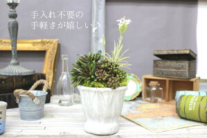 楽天スーパセールで10%OFF!ボタニカルアレンジ多肉植物エアープランツ造花グリーン手入れ不要で一生持つ♪のアーティフィシャルフラワー癒しのインテリアエケベリアグリーンネックレスティランジア