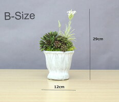 送料無料ボタニカルMアレンジ陶器ブリキ多肉植物エアープランツ造花グリーン手入れ不要で一生持つ♪のアーティフィシャルフラワー癒しのインテリアエケベリアグリーンネックレスティランジア10P18Jun16