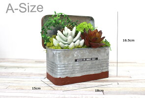 送料無料ボタニカルMアレンジ陶器ブリキ多肉植物エアープランツ造花グリーン手入れ不要で一生持つ♪のアーティフィシャルフラワー癒しのインテリアエケベリアグリーンネックレスティランジア10P18Jun16