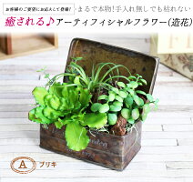 楽天スーパセールで10%OFF!ボタニカルアレンジ多肉植物エアープランツ造花グリーン手入れ不要で一生持つ♪のアーティフィシャルフラワー癒しのインテリアエケベリアグリーンネックレスティランジア
