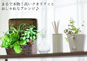 楽天スーパセールで10%OFF!ボタニカルアレンジ多肉植物エアープランツ造花グリーン手入れ不要で一生持つ♪のアーティフィシャルフラワー癒しのインテリアエケベリアグリーンネックレスティランジア