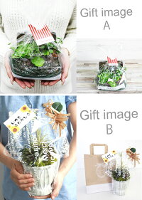 送料無料ボタニカルMアレンジ陶器ブリキ多肉植物エアープランツ造花グリーン手入れ不要で一生持つ♪のアーティフィシャルフラワー癒しのインテリアエケベリアグリーンネックレスティランジア10P18Jun16