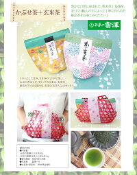 母の日予約割引送料無料プリザーブドフラワーFavoriファボリカーネーション造花付包装無料プリザーブドフラワーアレンジあす楽対応ギフト生花よりも枯れない花束誕生日御祝い引き出物プレゼント送別開店記念日インテリアに