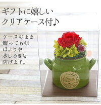 クリスマスリースのコットンリース