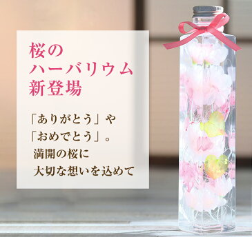 敬老の日 プリザーブドフラワー ギフト プレゼント ハーバリウム 完成品 ギフト プリザ 桜 和風 メッセージカード 結婚式 ハート 誕生日 花 オイル 瓶 メッセージ おしゃれ かわいい 飾り 女性 義母 女友達 彼女 妻