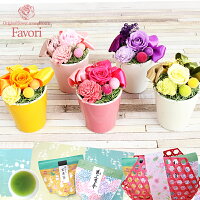 母の日早期予約割引送料無料ポイント20倍!3/108:59迄プリザーブドフラワーFavoriファボリカーネーション造花付包装無料プリザーブドフラワーアレンジあす楽対応送料無料ギフト生花よりも枯れない花束を♪誕生日御祝い引き出物プレゼントに大人気!