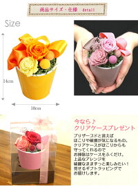 母の日早期予約割引送料無料ポイント20倍!3/108:59迄プリザーブドフラワーFavoriファボリカーネーション造花付包装無料プリザーブドフラワーアレンジあす楽対応送料無料ギフト生花よりも枯れない花束を♪誕生日御祝い引き出物プレゼントに大人気!