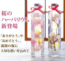 ポイント2倍!母の日早期特典付き予約!!ハーバリウム(ロング)プリザーブドフラワー母の日予約母嬉し泣き!?写真印刷0円&手紙メッセージカード無料!