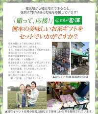 母の日早期予約割引送料無料ポイント20倍!3/108:59迄プリザーブドフラワーFavoriファボリカーネーション造花付包装無料プリザーブドフラワーアレンジあす楽対応送料無料ギフト生花よりも枯れない花束を♪誕生日御祝い引き出物プレゼントに大人気!