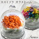 【最短翌日配達★15時〆】プリザーブドフラワー ガラスドーム 誕生日 プレゼント 花 ギフト 楽天 カスミソウ ベイビーズグラス カラフル オレンジ クリアケー...