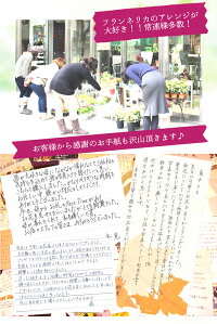 ハーバリウムロング和風プレゼント送料無料写真印刷0円プリザーブドフラワーあす楽OKメッセージカード無料母の日送別ハート型植物標本