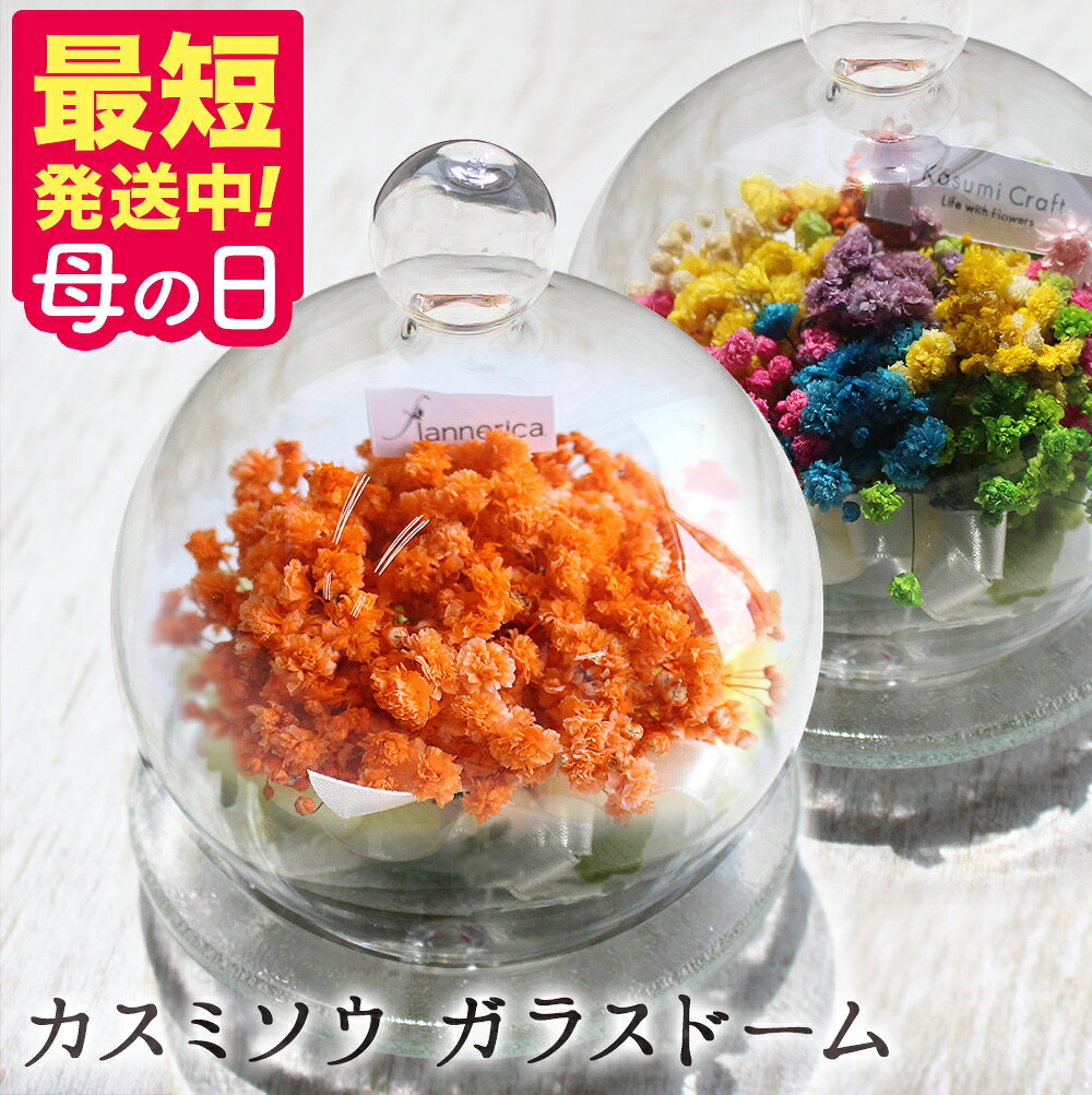 プリザーブドフラワー ガラスドーム 母の日 花 送料無料 プレゼント 2026 【最短翌日配達★15時〆】 送別 ギフト 誕生日 カスミソウ クリアケース付 結婚祝い 送料無料 写真印刷無料 結婚式 ウエディング 誕生日 かすみそう 霞草