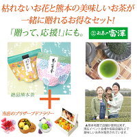 母の日早期予約割引送料無料ポイント20倍!3/108:59迄プリザーブドフラワーFavoriファボリカーネーション造花付包装無料プリザーブドフラワーアレンジあす楽対応送料無料ギフト生花よりも枯れない花束を♪誕生日御祝い引き出物プレゼントに大人気!