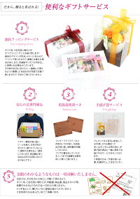 ウォールフラワー壁掛け平置き2way楽天ランキング1位獲得!プリザーブドフラワーKARENプリザーブドフラワー誕生日プレゼント結婚祝プリザードフラワー送別ギフト母の日お中元wallflower