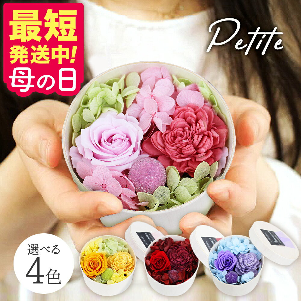 プリザーブドフラワー Petite(プティ�