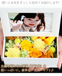 敬老特価3585円