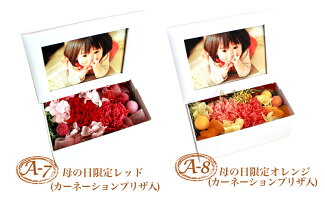 プリザーブドフラワー送料無料あす楽対応フォトフレーム写真立てプリザーブドフラワーギフト生花より枯れない花♪誕生日ホワイトデーバレンタイン母の日カーネンション代わりに♪御祝い結婚記念日結婚祝い出産祝いブリザードフラワープリザードフラワー