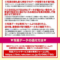 写真印刷0円枯れない生花感動写真立てフォトフレームKAREN送料無料あす楽OK敬老の日ギフトプレゼントプリザーブドフラワープリザードフラワー誕生日結婚祝敬老の日お祝い開店祝いサプライズに