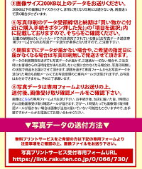 母の日予約割引送料無料プリザーブドフラワーFavoriファボリカーネーション造花付包装無料プリザーブドフラワーアレンジあす楽対応ギフト生花よりも枯れない花束誕生日御祝い引き出物プレゼント送別開店記念日インテリアに